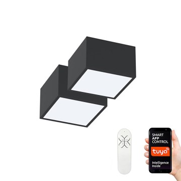 Immax Neo 07074L-15BD - Komplet 2x LED Stropna svetilka CANTO 2xLED/12W/230V + Daljinski upravljalnik Tuya