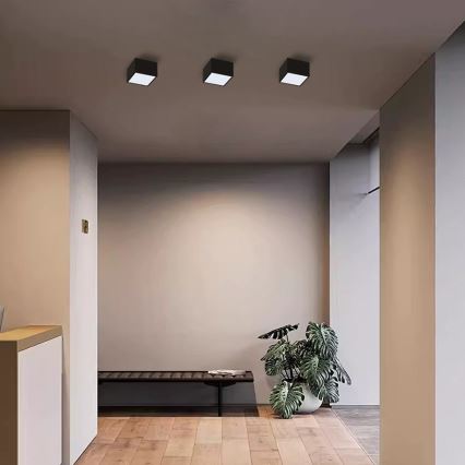 Immax Neo 07074L-15BD - Set 2x LED Zatemnitvena stropna svetilka CANTO 2xLED/12W/230V + Daljinski upravljalnik Tuya