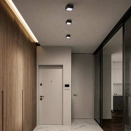 Immax Neo 07074L-15BD - Set 2x LED Zatemnitvena stropna svetilka CANTO 2xLED/12W/230V + Daljinski upravljalnik Tuya