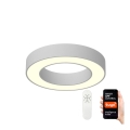 Immax NEO 07095L - LED Zatemnitvena stropna svetilka PASTEL LED/52W/230V 60 cm Tuya