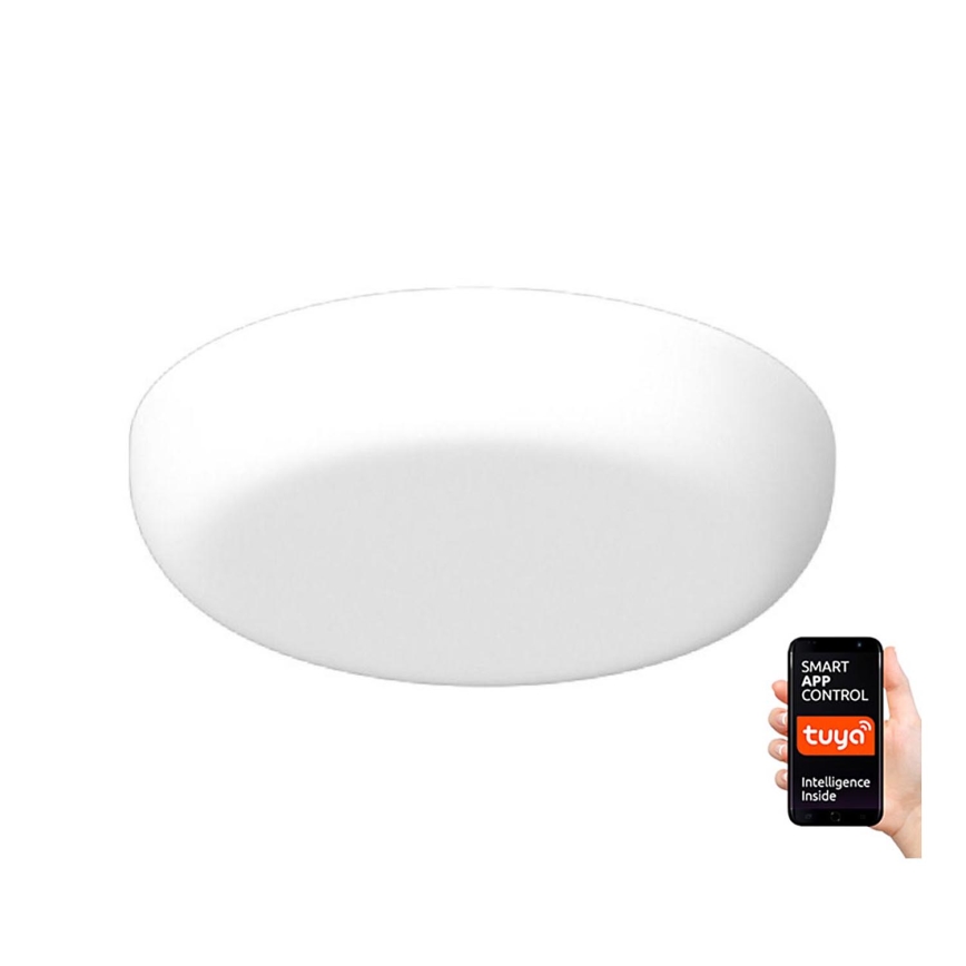 Immax NEO 07109K - LED Zatemnitvena kopalniška vgradna svetilka PRACTICO LED/24W/230V IP44 Tuya