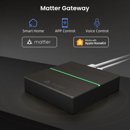 Immax NEO 07117-5 - Pametni MATTER BRIDGE Zigbee 3.0 230V Tuya Wi-Fi
