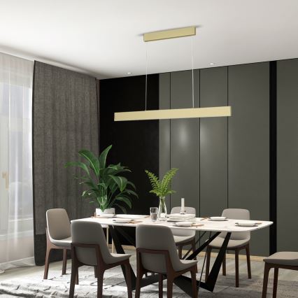 Immax Neo 07128L - LED  Zatemnitveni lestenec na vrvici LISTON zlata LED/18W/230V ZigBee + Daljinski upravljalnik Tuya