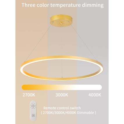 Immax NEO 07159-G80 - LED Zatemnitveni lestenec na vrvici FINO LED/60W/230V Tuya zlata + Daljinski upravljalnik