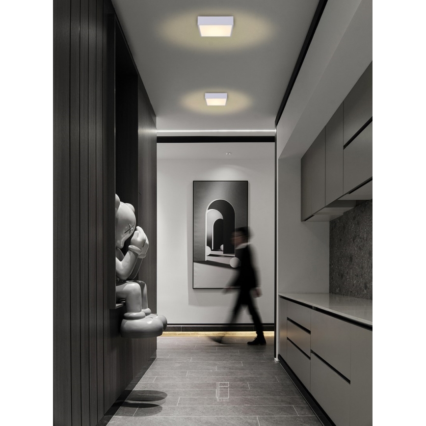 Immax NEO 07238L - LED Zatemnitvena stropna svetilka CANTO LED/22W/230V bela Tuya + Daljinski upravljalnik