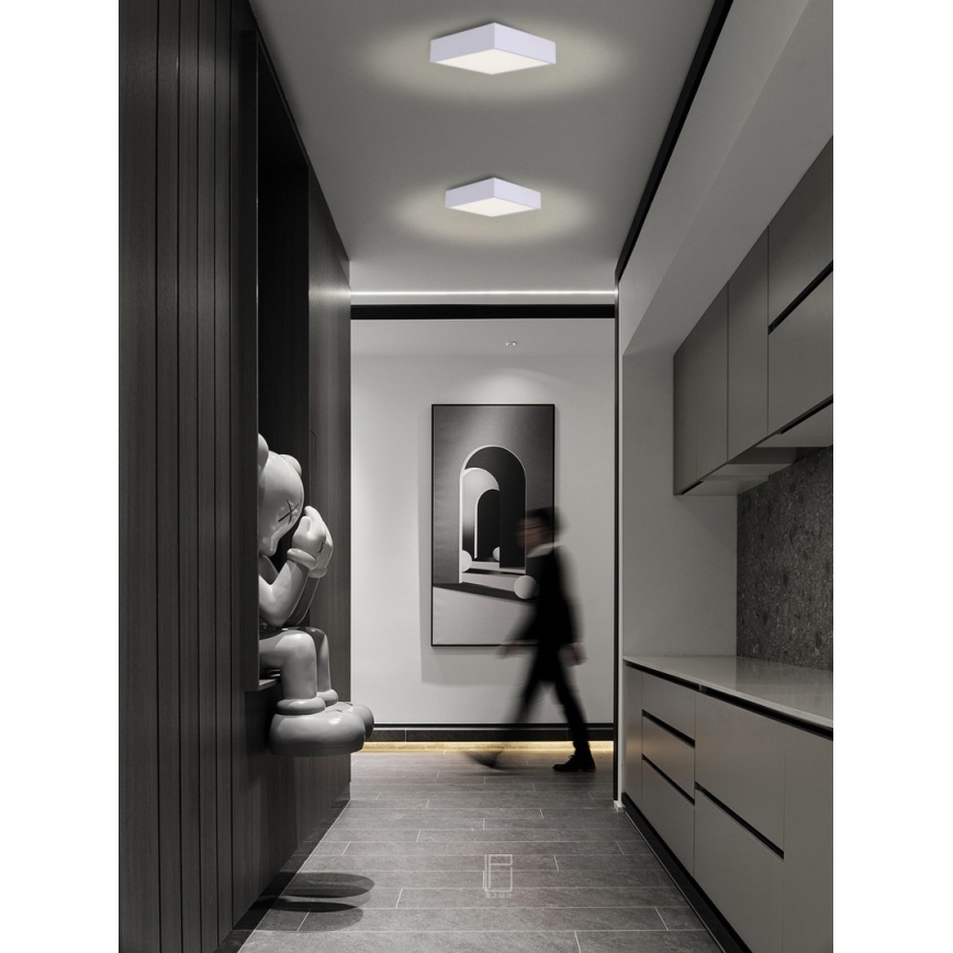 Immax NEO 07238L - LED Zatemnitvena stropna svetilka CANTO LED/22W/230V bela Tuya + Daljinski upravljalnik