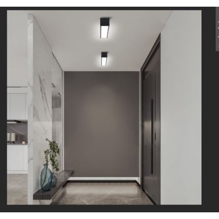 Immax NEO 07254L - LED Zatemnitvena stropna svetilka NEO LITE LUNGO LED/20W/230V 3000-6000K Wi-Fi Tuya črna + Daljinski upravljalnik