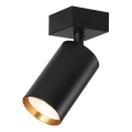 Immax NEO 07261Z -  LED RGB+CCT Zatemnitveni reflektor NEO PUNTO 1xGU10/4,8W/230V Tuya