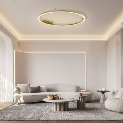 Immax NEO 07290-120G - LED+CCT Zatemnljivo stropno svetilo FINO LED/55W/230V 2700-6500K Tuya premer 120 cm + daljinski upravljalnik