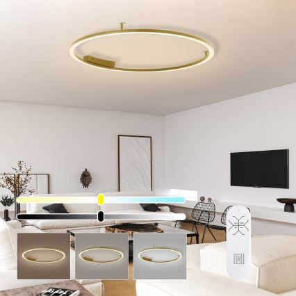 Immax NEO 07290-120G - LED+CCT Zatemnljivo stropno svetilo FINO LED/55W/230V 2700-6500K Tuya premer 120 cm + daljinski upravljalnik