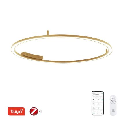 Immax NEO 07290-120G - LED+CCT Zatemnljivo stropno svetilo FINO LED/55W/230V 2700-6500K Tuya premer 120 cm + daljinski upravljalnik