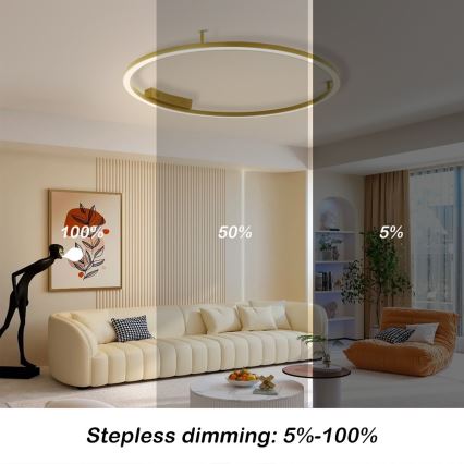Immax NEO 07291-80G - LED+CCT stropno svetilo FINO z možnostjo zatemnitve LED/55W/230V 2700-6500K Tuya premer 80 cm + daljinski upravljalnik