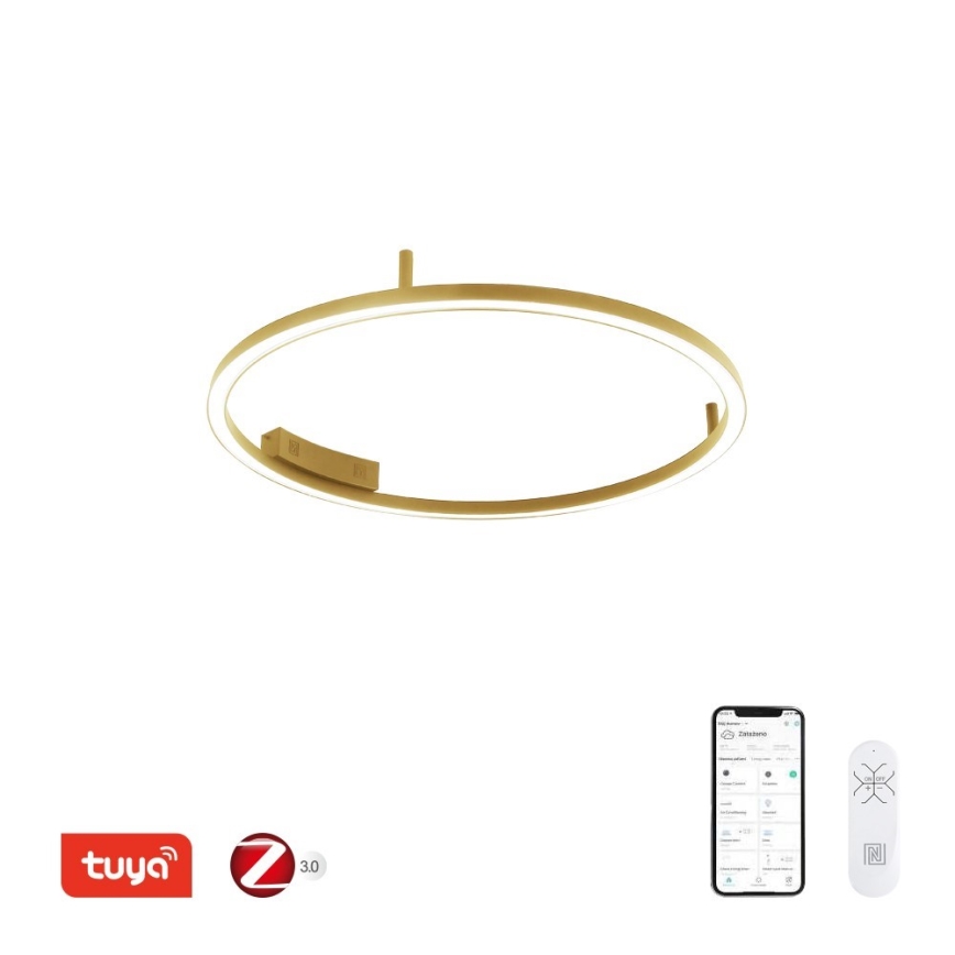 Immax NEO 07291-80G - LED+CCT stropno svetilo FINO z možnostjo zatemnitve LED/55W/230V 2700-6500K Tuya premer 80 cm + daljinski upravljalnik