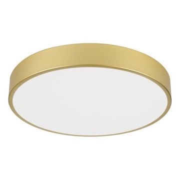 Immax NEO 07292L - LED+CCT Zatemnjivo stropno svetilo SEMPLICI LED/36W/230V 2700-6500K premer 40 cm + daljinski upravljalnik