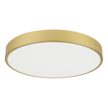 Immax NEO 07293L - Zatemnjiva LED stropna svetilka NEO LITE SEMPLICI LED/60W/230V 3000–6000K, premer 60 cm, Wi-Fi Tuya, zlata + daljinski upravljalnik