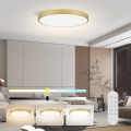 Immax NEO 07312L - LED zatemnjevalno stropno svetilo SEMPLICI LED/128W/230V Ø 100 cm Wi-Fi Tuya zlata + daljinski upravljalnik