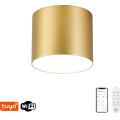 Immax NEO 07317L - LED zatemnjevalna stropna svetilka RONDATE LED/18W/230V premer 11,5 cm Wi-Fi Tuya zlata