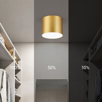 Immax NEO 07317L - zatemnljiva LED stropna svetilka RONDATE LED/18W/230V, premer 11,5 cm, Wi-Fi Tuya, zlata