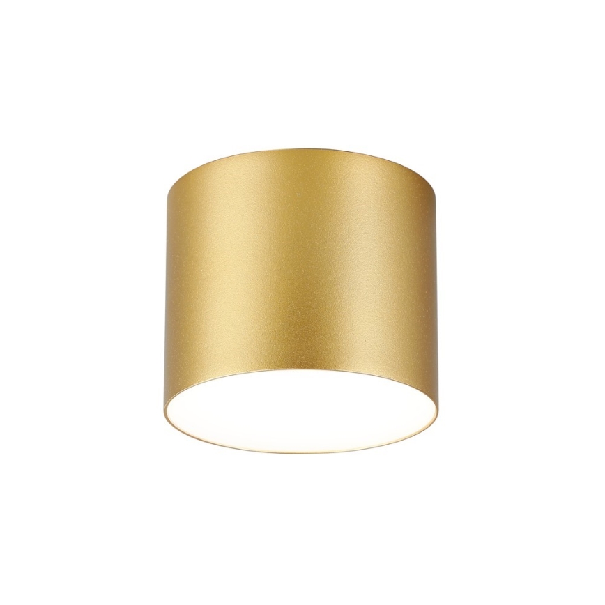 Immax NEO 07317L - zatemnljiva LED stropna svetilka RONDATE LED/18W/230V, premer 11,5 cm, Wi-Fi Tuya, zlata