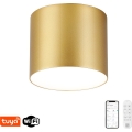 Immax NEO 07318L - LED stropna svetilka z zatemnjevanjem RONDATE LED/32W/230V premer 16,5 cm Wi-Fi Tuya zlata