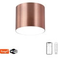 Immax NEO 07319L - LED stropna svetilka z zatemnitvijo RONDATE LED/18W/230V, premer 11,5 cm, Wi-Fi Tuya, rožnato zlata