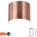 Immax NEO 07320L - Zatemnjiva LED stropna svetilka RONDATE LED/32W/230V, premer 16,5 cm, Wi‑Fi Tuya, rožnato zlata