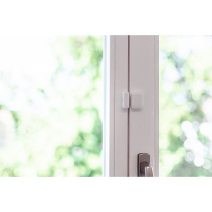 Immax NEO 07511L - SET 2x Magnetni window in door senzor SMART 1xCR2032  Zigbee Tuya