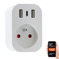 Immax NEO 07772L - Pametna razdelilna vtičnica 16A/230V + 2xUSB+1xUSB‑C Wi‑Fi Tuya