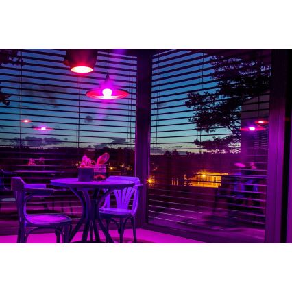 Immax NEO 07794CDO - Komplet 3x zatemnjevalnih LED žarnic RGB+CCT E27/14W/230V 2700K-6500K Tuya Wi-Fi + daljinski upravljalnik