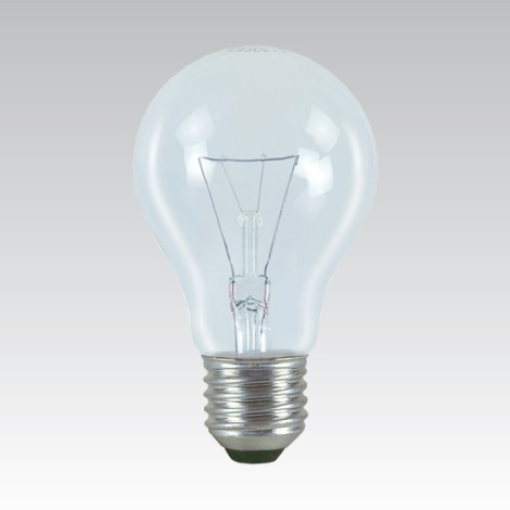 Industrijska posebna žarnica E27/100W/24V