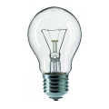 Industrijska žarnica E27/60W/230V 2200K