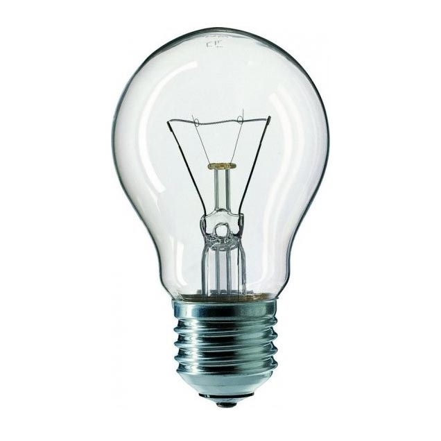 Industrijska žarnica E27/60W/230V 2200K