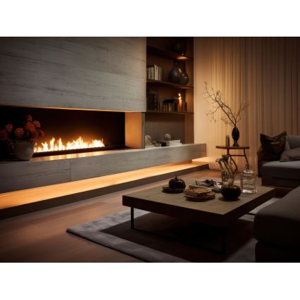 InFire - Vgradni BIO kamin 7,5x120 cm 7kW črna