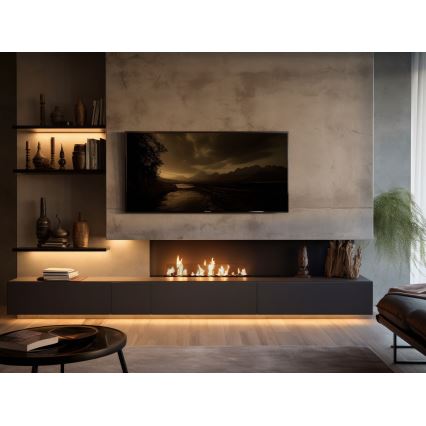 InFire - Vgradni BIO kamin 8,5x100 cm 6kW črna