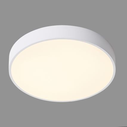 ITALUX - LED Stropna svetilka ORBITAL LED/30W/230V 3000K bela