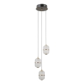 ITALUX - LED lestenec na jeklenem kablu ALANI 3xLED/5W/230V 3000K črna/zlata