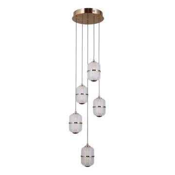ITALUX - LED lestenec na kablu ALANI 5xLED/5,6W/230V 3000K zlate barve