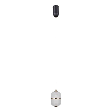 ITALUX - LED lestenec na kablu ALANI LED/6W/230V 3000K črna/zlata