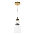 ITALUX - LED Lestenec na kablu EVANS LED/12W/230V 3000K zlata/bela
