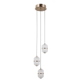 ITALUX - LED lestenec na žici ALANI 3xLED/5W/230V 3000K v zlati barvi
