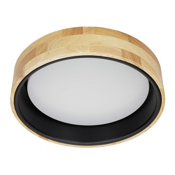 ITALUX - LED Stropna svetilka CAMPELO LED/20W/230V 4000K