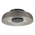 ITALUX - LED stropna svetilka PASSO, 8 W, 230 V, 3000 K, premer 25 cm, dimno črna