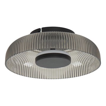 ITALUX - LED stropna svetilka PASSO, 8 W, 230 V, 3000 K, premer 25 cm, dimno črna