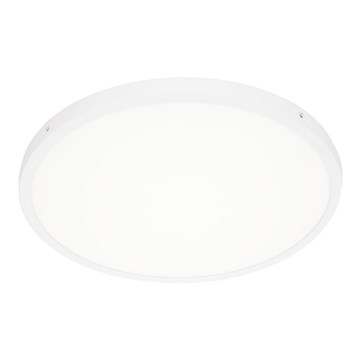 ITALUX - LED Stropna svetilka PELARO LED/36W/230V 3000K bela