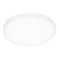 ITALUX - LED Stropna svetilka PELARO LED/36W/230V 4000K bela