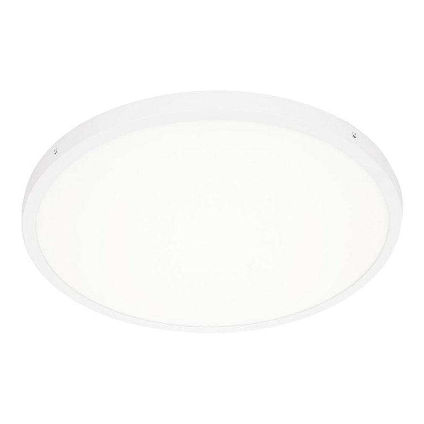 ITALUX - LED Stropna svetilka PELARO LED/36W/230V 4000K bela