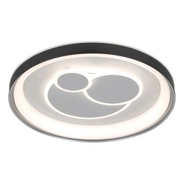 ITALUX - LED zatemnljivo stropno svetilo FLORINA LED/46W/230V 3000/4000/6500K premer 49 cm črna + daljinski upravljalnik