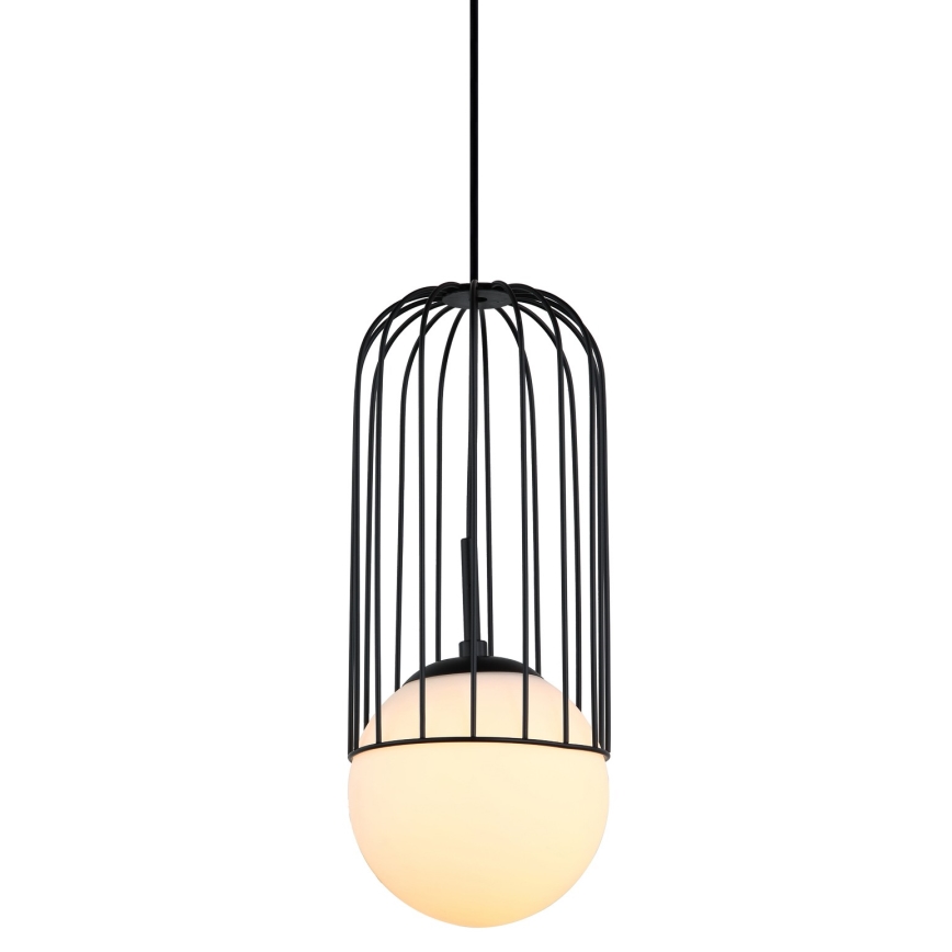 ITALUX - Lestenec na vrvici MATTY 1xE27/40W/230V 100 cm črna