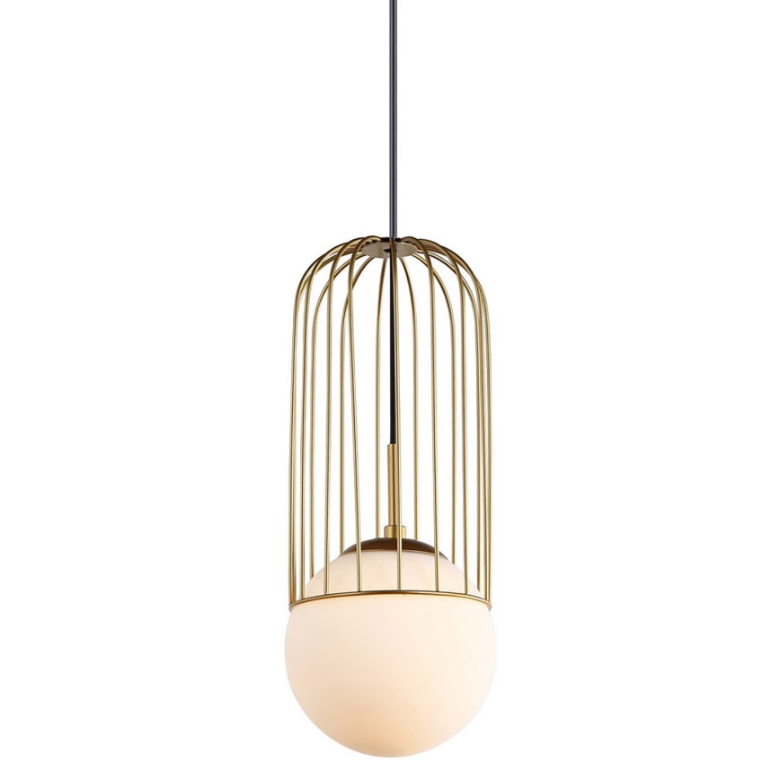 ITALUX - Lestenec na vrvici MATTY 1xE27/40W/230V 100 cm zlata
