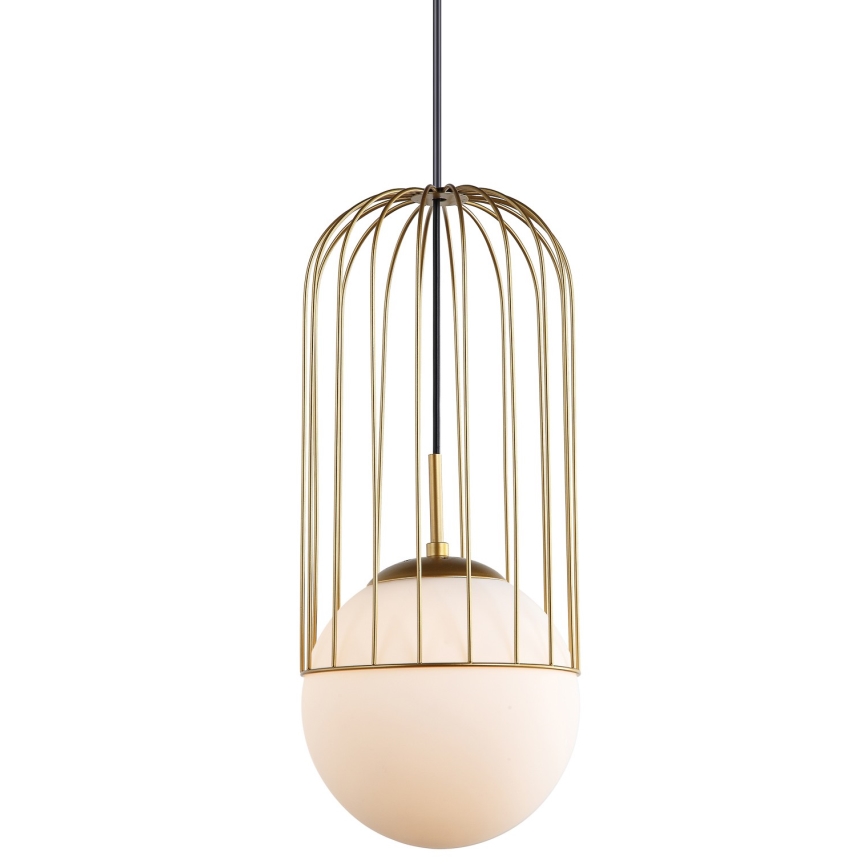 ITALUX - Lestenec na vrvici MATTY 1xE27/40W/230V 95,5 cm zlata